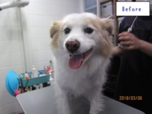 施術前ミックス