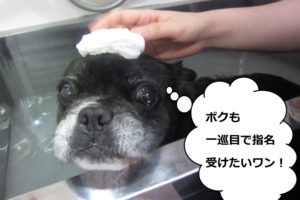 スパ中ミックス