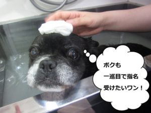 スパ中ミックス