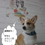 謹賀新年コーギー