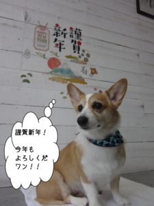 謹賀新年コーギー