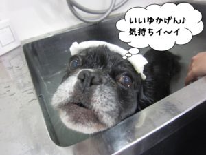 スパ中ミックス