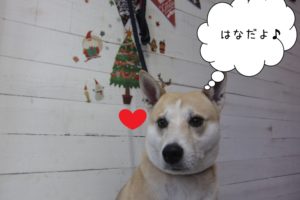 おすましミックス