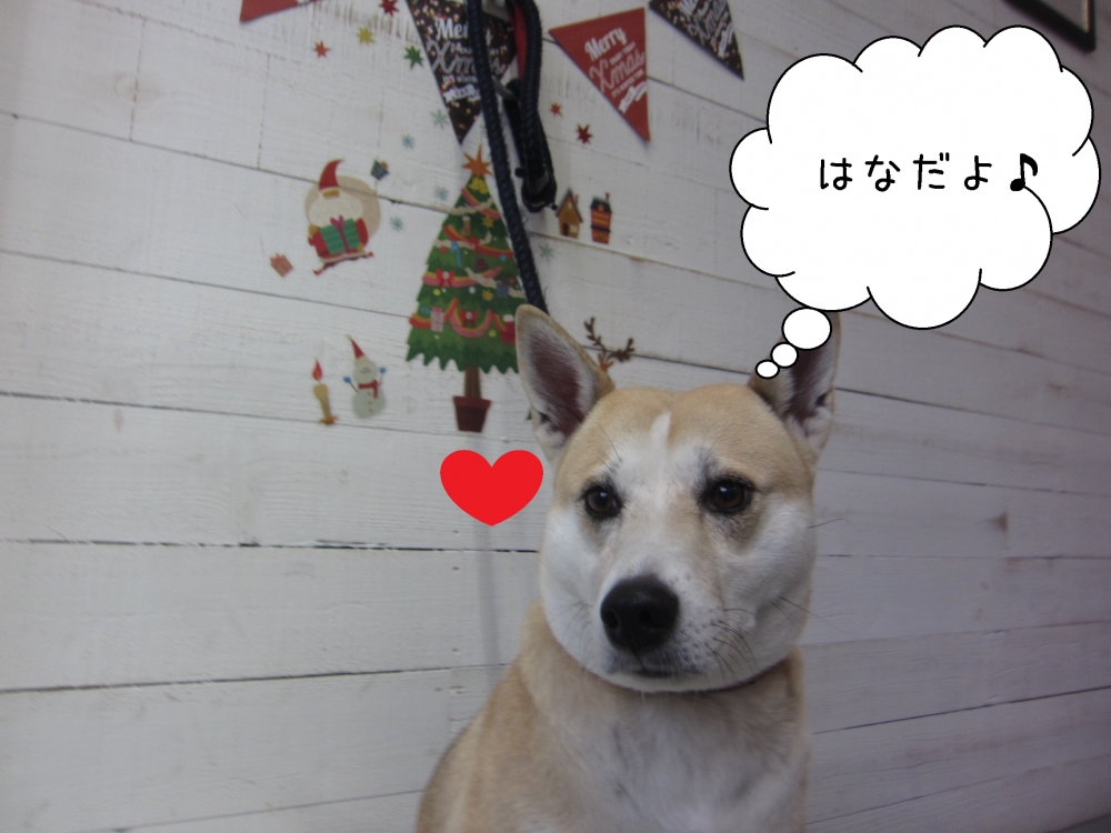 おすましミックス