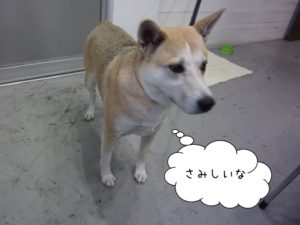 施術後ミックス