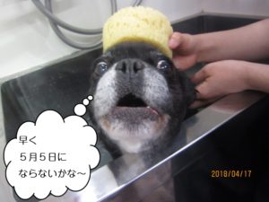 スパ中ポコちゃん