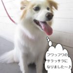 施術後ミックス