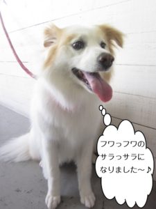 施術後ミックス