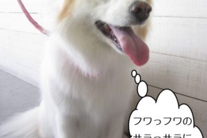 施術後ミックス