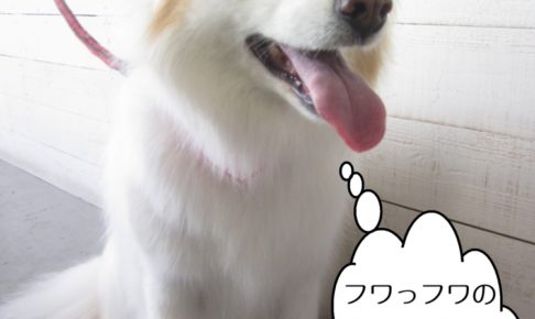 施術後ミックス