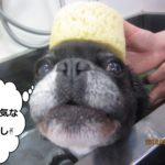 のんびりミックス