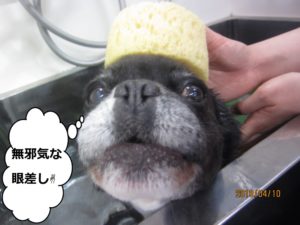 のんびりミックス