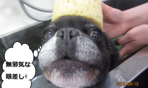 のんびりミックス