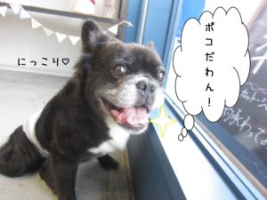 施術後ミックス