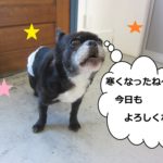 おすましミックス