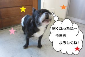 おすましミックス