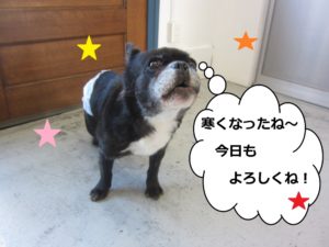 おすましミックス