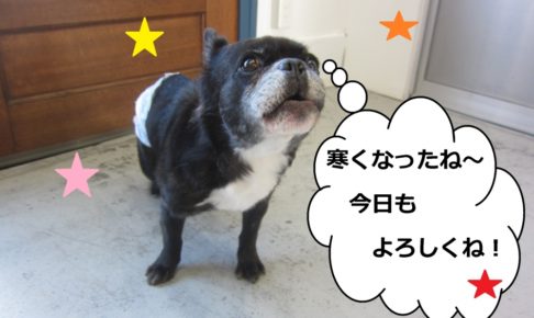 おすましミックス