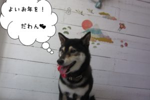富士山にっこり黒柴犬