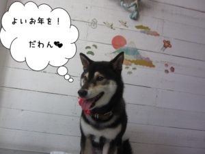富士山にっこり黒柴犬