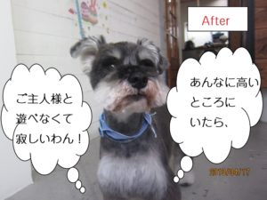 えっへんMシュナ