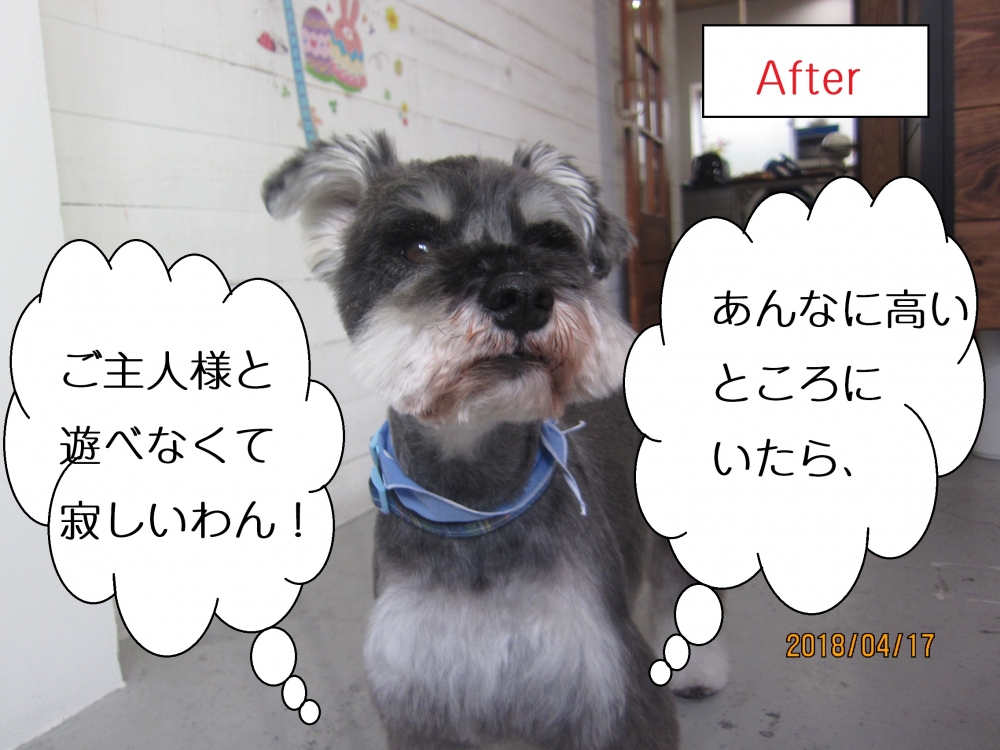 えっへんMシュナ