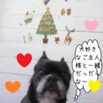 クリスマスおすましミックス