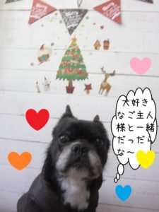 クリスマスおすましミックス