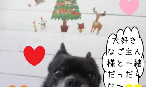 クリスマスおすましミックス