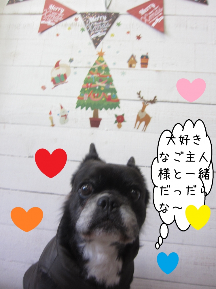 クリスマスおすましミックス