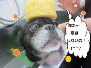 スパ中ミックス