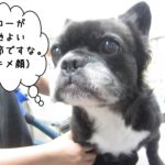 キメ顔ミックス