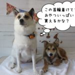 二人仲良しミックス