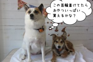 二人仲良しミックス