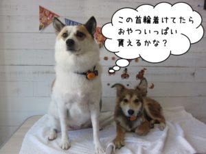 二人仲良しミックス