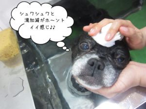 スパ中ミックス