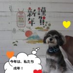 えっへんMシュナ