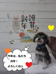 えっへんMシュナ