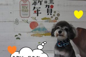 えっへんMシュナ