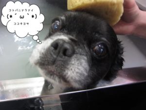 スパ中ミックス