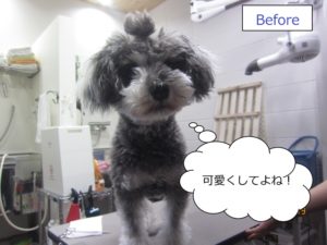 カット前Mシュナ