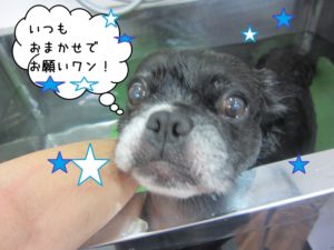 スパ中ミックス