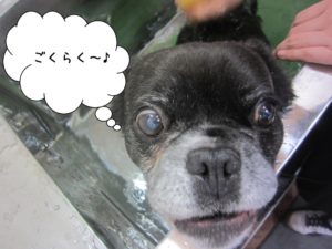 スパ中ミックス