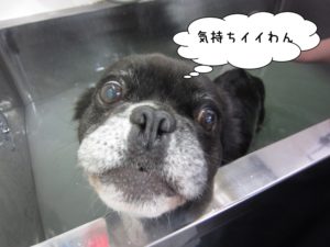 スパ中ミックス