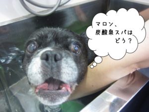 スパ中ミックス