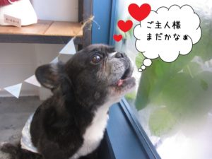 施術後ミックス