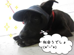 施術後ミックス