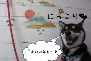 富士山にっこり黒柴犬