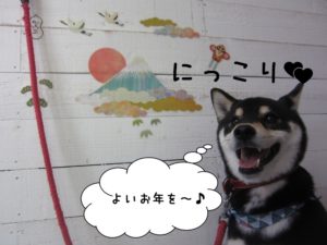 富士山にっこり黒柴犬