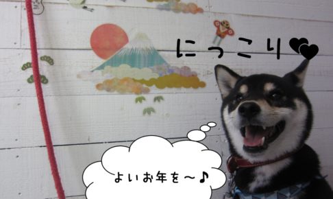 富士山にっこり黒柴犬